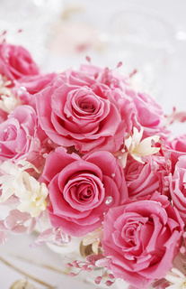 Rose 3.jpg