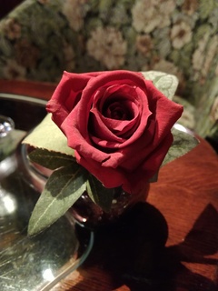 Rose うかい亭.jpg