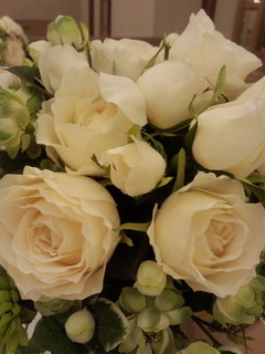 Rose 柏3.jpg