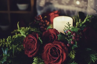 Rose Elly 1.jpg