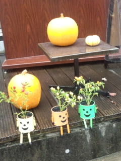 微笑む植木鉢たち.jpg