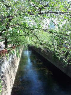 Garden 目黒川.jpg