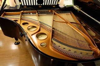 Bösendorfer.JPG
