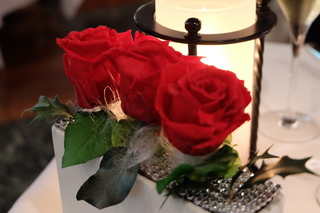 Rose.JPG
