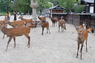 DSCF3902.JPG