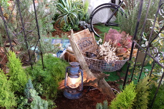 DSCF5150.JPG