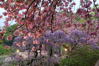 DSCF5197.JPG