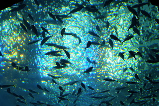 DSCF5344.JPG