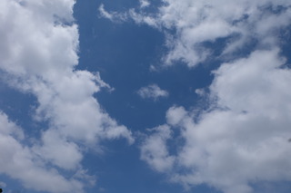 DSCF5380.JPG