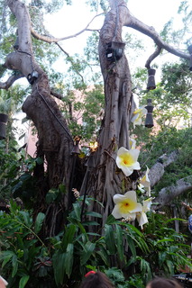 DSCF7158.JPG