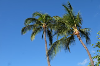 DSCF7208.JPG