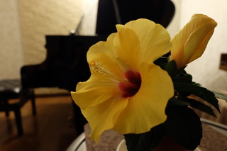 DSCF7248.JPG