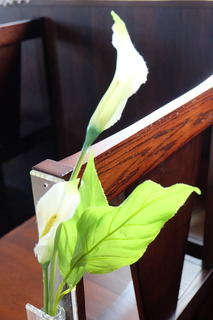 DSCF7350.JPG