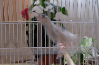 DSCF7498.JPG
