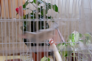 DSCF7500.JPG