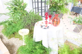 DSCF8674.JPG