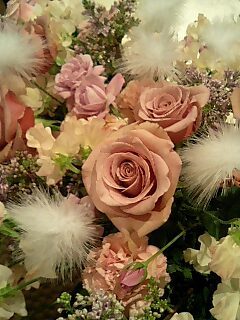 天使の薔薇.jpg