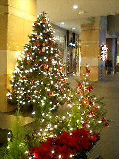 G クリスマス・ツリー 1.jpg