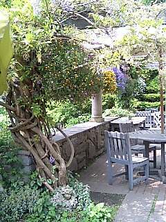English Garden 美しき藤の木.jpg