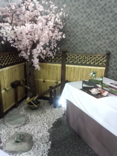 Tableware 春.jpg