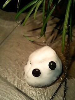 ちっちゃい雪.jpg