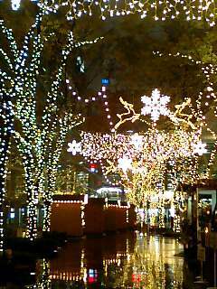 クリスマス・イルミネーション.jpg