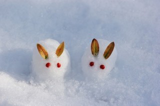 雪うさぎ.jpg