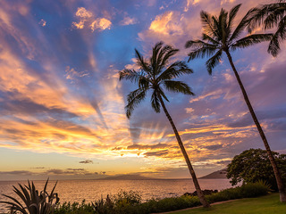 Hawaii 夕日.jpg