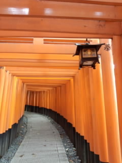 千本鳥居.jpg