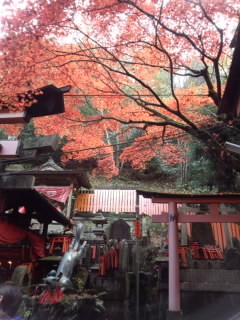 紅葉の稲荷.jpg