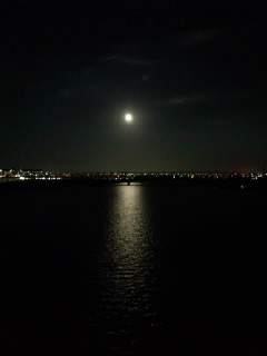 Moon 2012 .jpg