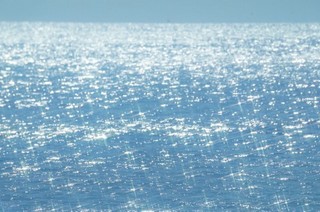 Sea 輝く水面.jpg