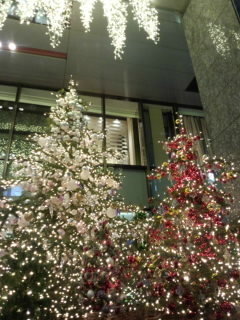 クリスマス 銀座2015.jpg