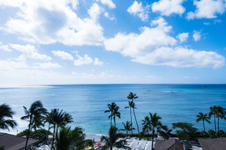 Hawaii 1.jpg