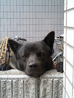 おやつ下さい