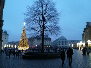 IMG_20161218_153250 (2).jpg