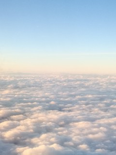 IMG_20161226_155351 (2).jpg