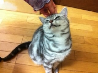 さくらちゃん.jpg